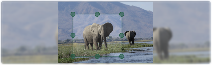 Example of of result of the Image Component