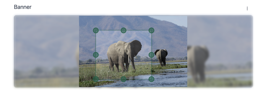 Example of of result of the Image Component